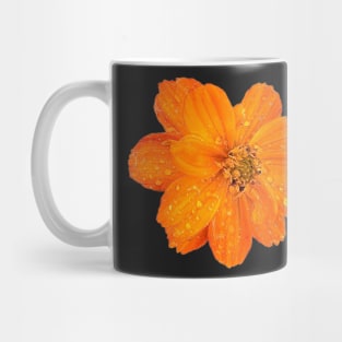 Vibrant Orange Sulfur Cosmos Mug